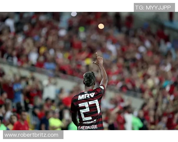 弗拉门戈俱乐部历史性夺得第九个巴甲联赛冠军再创辉煌